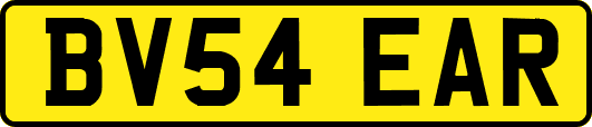 BV54EAR