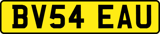 BV54EAU