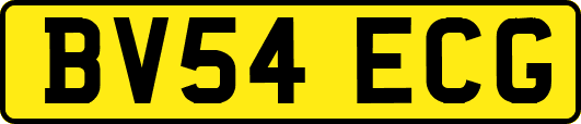 BV54ECG