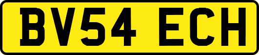 BV54ECH