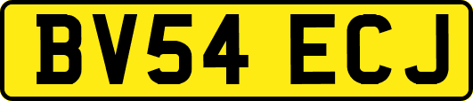 BV54ECJ