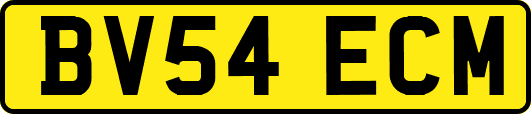 BV54ECM