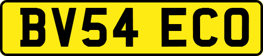 BV54ECO