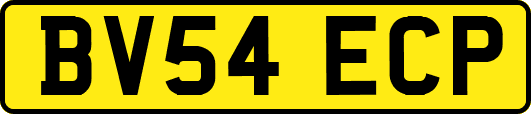 BV54ECP