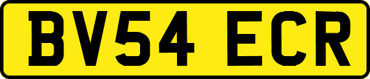 BV54ECR