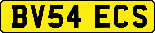 BV54ECS