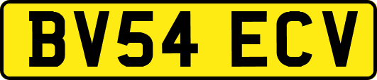 BV54ECV