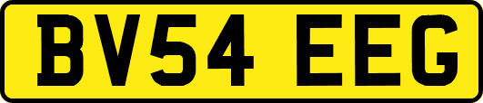BV54EEG