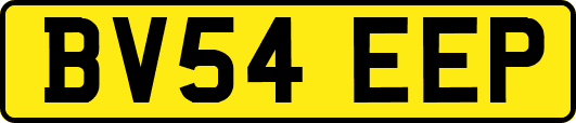 BV54EEP