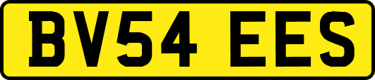 BV54EES
