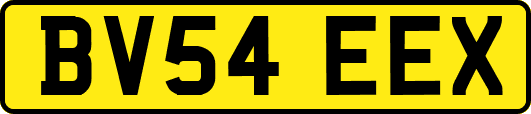 BV54EEX