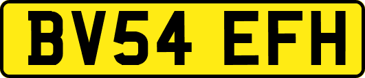 BV54EFH