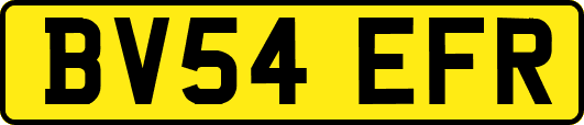 BV54EFR