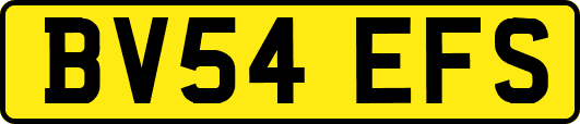 BV54EFS