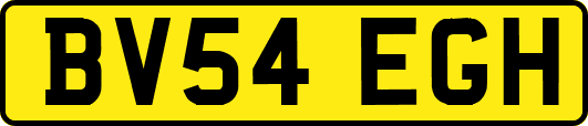 BV54EGH
