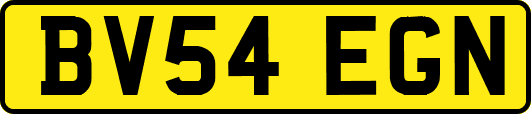 BV54EGN
