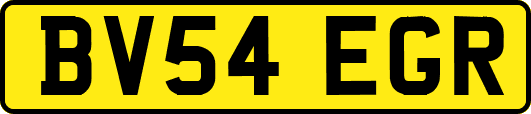 BV54EGR
