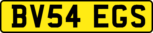 BV54EGS