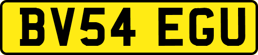 BV54EGU