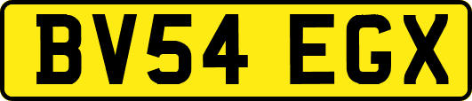 BV54EGX