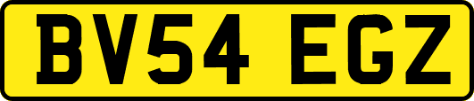 BV54EGZ