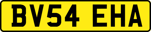 BV54EHA