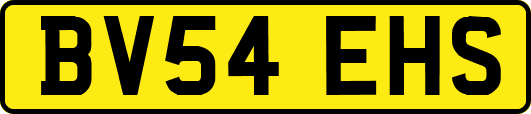 BV54EHS