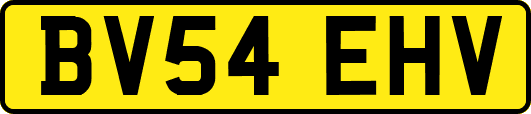 BV54EHV