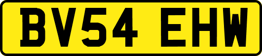 BV54EHW
