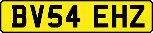 BV54EHZ