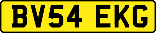 BV54EKG