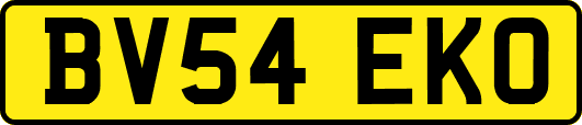BV54EKO
