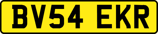 BV54EKR