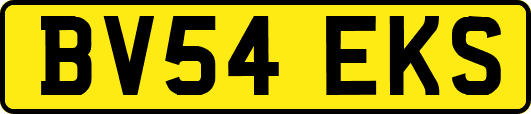BV54EKS