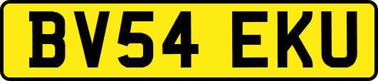 BV54EKU