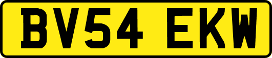 BV54EKW