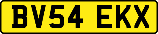 BV54EKX