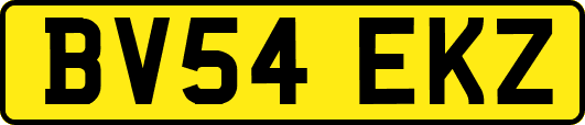 BV54EKZ