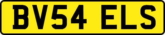 BV54ELS