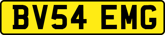 BV54EMG