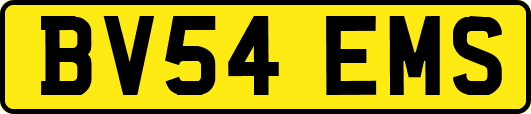 BV54EMS