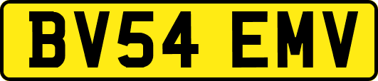 BV54EMV