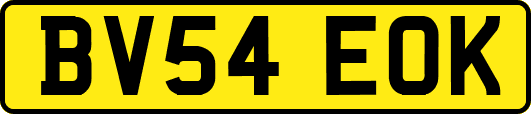 BV54EOK