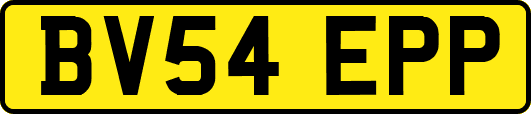BV54EPP