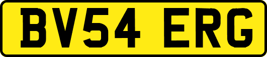 BV54ERG