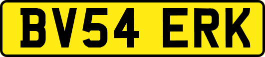 BV54ERK