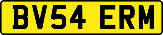 BV54ERM