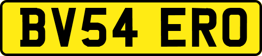 BV54ERO