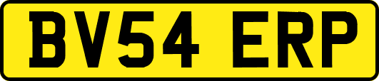 BV54ERP