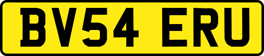 BV54ERU